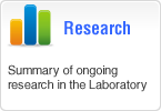 Research